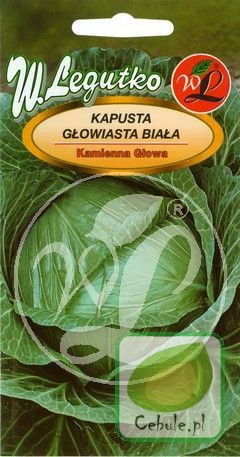 Nasiona Kapusta Głowiasta Kamienna Głowa