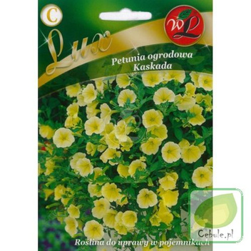 Nasiona Petunia Ogrodowa Kaskada Żółta
