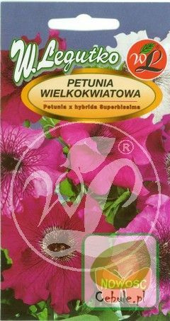 Nasiona Petunia Wielkokwiatowa Superbissima