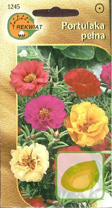 Nasiona Portulaka Pełna mieszanka