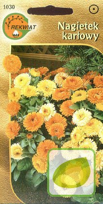 Nasiona Nagietek Lekarski Niski Mix.