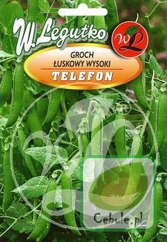 Nasiona Groch Łuskowy Telefon