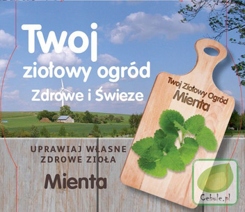 Zestaw Twój Ziołowy Ogród 4 gatunki - Nasiona + Ziemia + Wiaderka