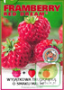 Przebój Smakowy TRUSKAWKA MALINOWA sadzonki 1 szt.