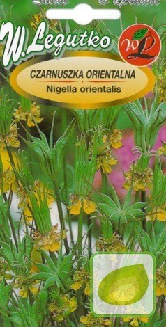 Nasiona Czarnuszka Damasceńska - Nigella Orientalis