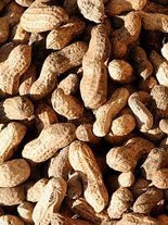 Nasiona Orzeszki ziemne