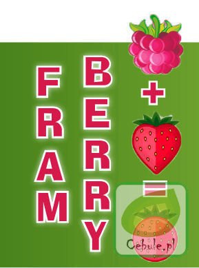 Przebój Smakowy TRUSKAWKA MALINOWA sadzonki 1 szt.