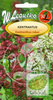 Nasiona Ostrogowiec Mix - Centranthus