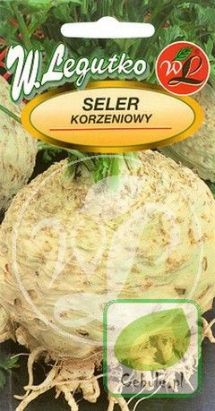 Nasiona Seler Edward Korzeniowy