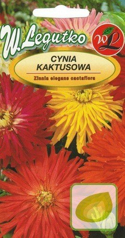 Nasiona Cynia Kaktusowa