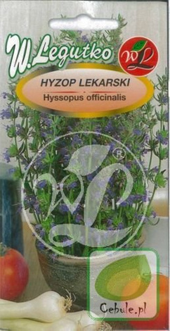 Nasiona Hyzop Lekarski