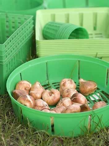 Koszyk do sadzenia cebul - okrągły śr. 8 cm