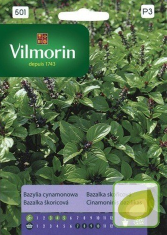 Nasiona Bazylia Cynamonowa