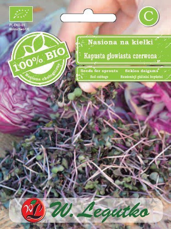 Nasiona Kapusta Głowiasta Czerwona - Nasiona Na Kiełki