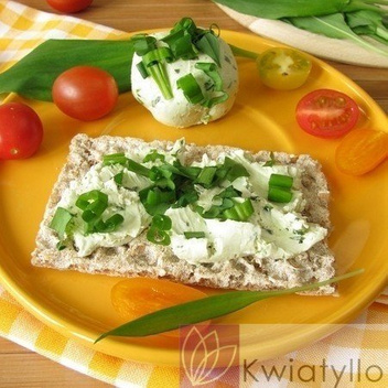 Sadzonki Czosnek niedźwiedzi (Allium ursinum)