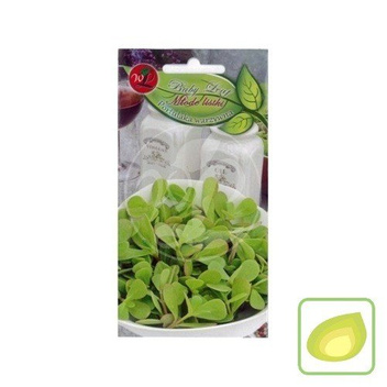 Nasiona Portulaka Warzywna - Baby Leaf