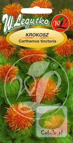 Nasiona Krokosz Do Bukietów - Carthamus Tinctorius