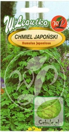 Nasiona Chmiel Japoński - Humulus