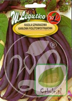 Nasiona Fasola Karłowa Purple Teepee