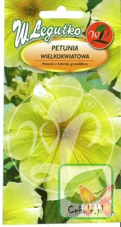 Nasiona Petunia Wielkokwiatowa Żółta