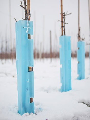 Osłonka sadownicza 2mm x 0,4m (8cm x 8cm)