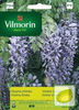 Nasiona Glicynia Chińska - Wisteria Sinesis