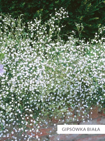 Zestaw Kolekcja Biała 10 szt.