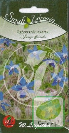 Nasiona Ogórecznik Lekarski - Borago Officinalis