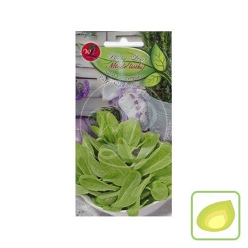 Nasiona Sałata rzymska Parris Island cos - Baby Leaf