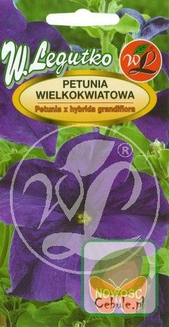 Nasiona Petunia Wielkokwiatowa Niebieska