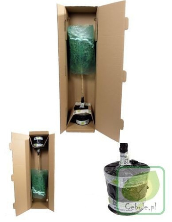 Lawenda Zioło w Doniczce Duże Sadzonki 2 szt.