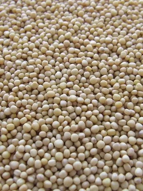  Gorczyca na poplon, 1kg