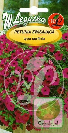 Nasiona Surfinia Rubina - Petunia Zwisająca
