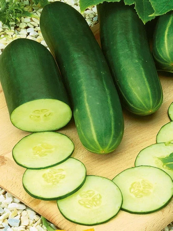 Nasiona Ogórek Sałatkowy Gracius Gładki F1