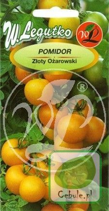 Nasiona Pomidor Zółty