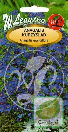 Nasiona Kurzyślad - Anagalis