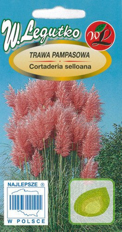 Nasiona Trawy Pampasowej Różowej Cortaderia Selloana