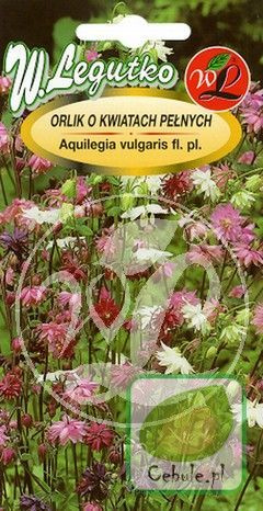 Nasiona Orliki Pełna Mix - Aquilegia Vulgaris