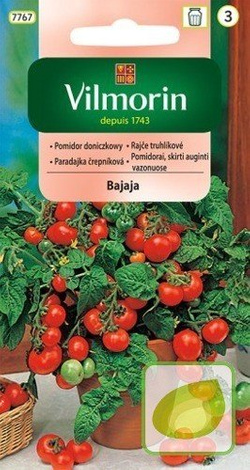 Nasiona Pomidor DONICZKOWY Bajaja - średnio wczesny