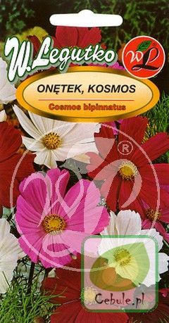 Nasiona Onętek Mieszanka Kolorów - Kosmos