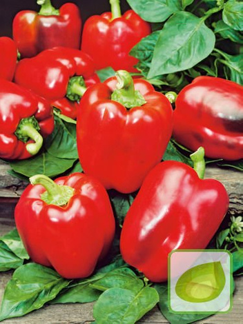 Nasiona Papryka czerwona Ożarowska słodka