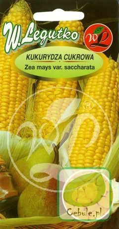 Nasiona Kukurydza Cukrowa Złota