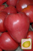 Nasiona Pomidor Malinowy Olbrzym
