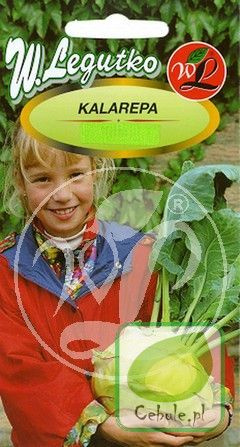 Nasiona Kalarepa Gigant Gigantyczne Zgrubienie