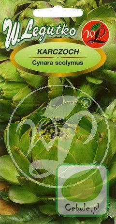 Nasiona Karczoch Green Globe