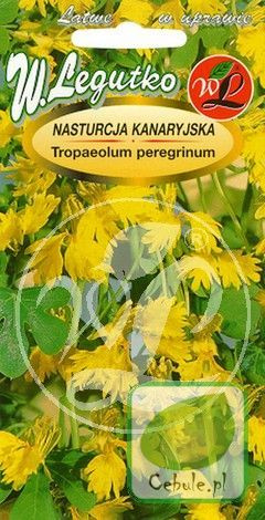 Nasiona Nasturcja Kanaryjska - Tropaeolum Peregr.