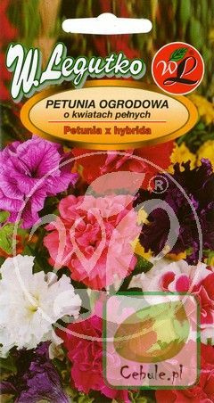 Nasiona Petunia Ogrodowa Mieszanka Kolorów
