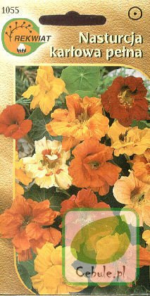 Nasiona Nasturcja Karłowa Pełna - Tropaeolum
