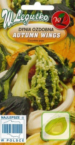 Nasiona Dynia Ozdobna Autumn Wings