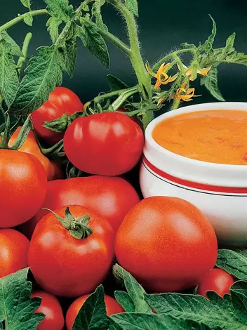 Nasiona Olbrzym Do 0,5 Kg Pomidor Gruntowy Faworyt